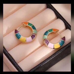 Multicolored Hoop Earrings